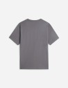 T-shirt standard Evolution Core Dome pour homme The North Face