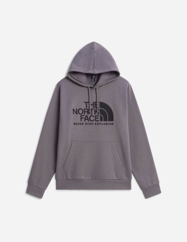 Sweat à capuche standard Evolution Front Throwback pour homme The North Face