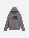 Sweat à capuche standard Evolution Front Throwback pour homme The North Face