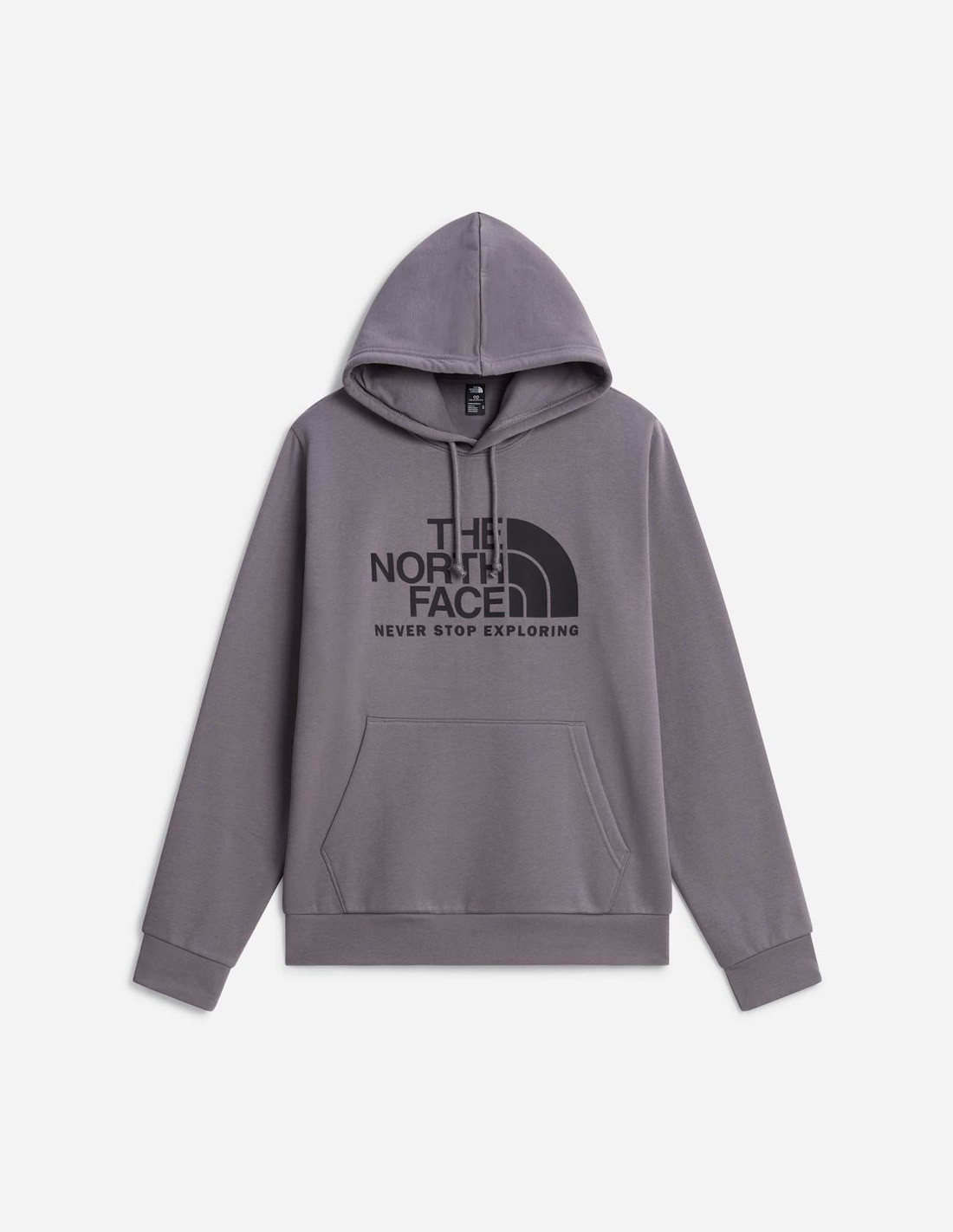 Sweat à capuche standard Evolution Front Throwback pour homme The North Face