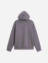 Sweat à capuche standard Evolution Front Throwback pour homme The North Face