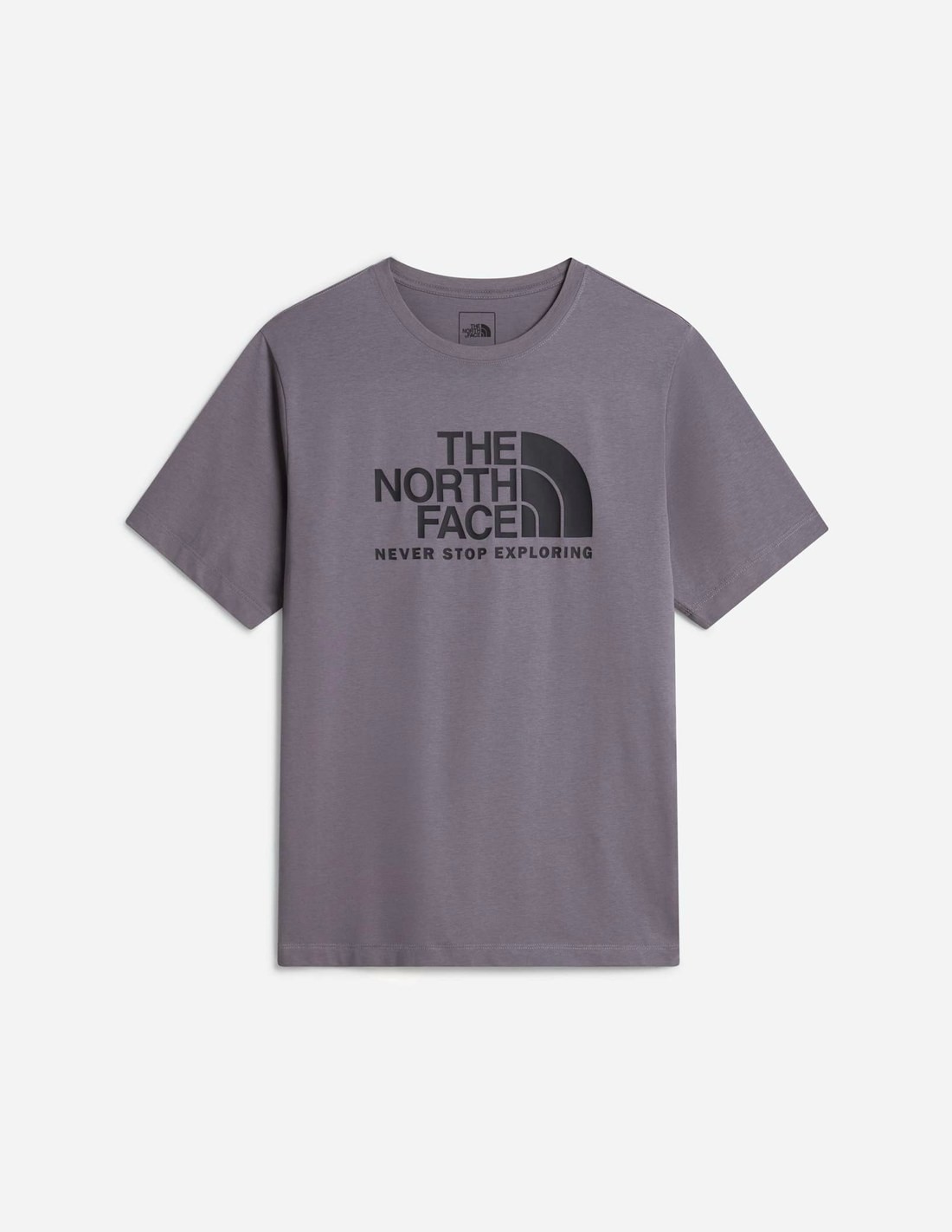 T-shirt standard Evolution Front Throwback pour homme The North Face