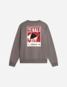 Sweat standard Vintage Denali pour homme The North Face