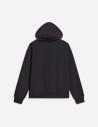 Sweat à capuche standard Evolution Front Throwback pour femme The North Face