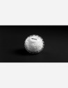 Moon Lamp Xoopar