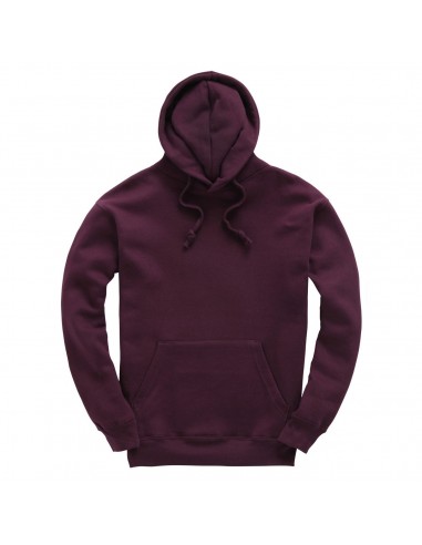 Sweatshirt Premium Hoodie W72-Accueil-Alchimistes