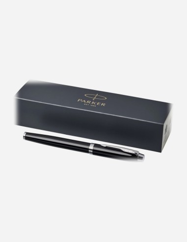 Stylo plume IM Parker (encre bleue)