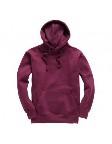 Sweatshirt Premium Hoodie W72-Accueil-Alchimistes